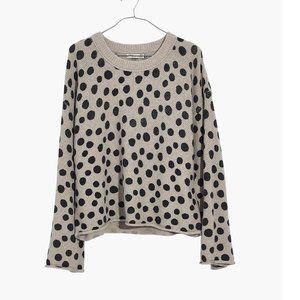 Madewell Leopard Dot Pullover Sweater